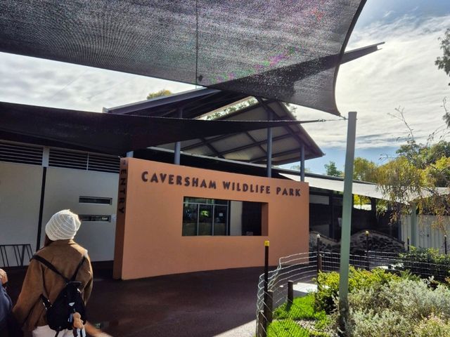 Must-visit places in Caversham Wildlife Park
