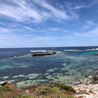 Quokka Paradise Found
