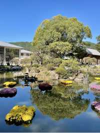 🌸 THE FLOWER BOX EXHIBITION IN DAZAIFU