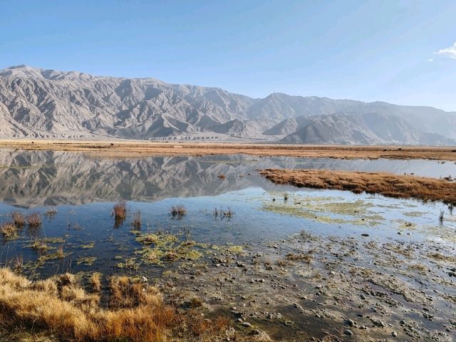 The Golden Grassland of the Pamir: A Golden Scroll on the Plateau