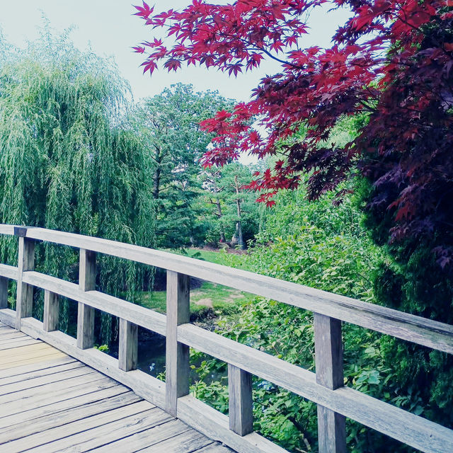 A Midwest Sanctuary: My Solo Day at Anderson Japanese Gardens, Rockford