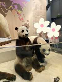 Natural History Museum ตื่นตาตื่นใจกับโลกดึกดำบรรพ์