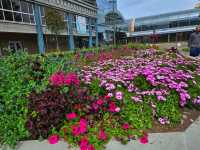 🌄 Anchorage – Alaska’s Wild Heart Between Mountains and Sea