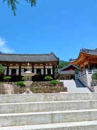 고즈넉한 풍경, 천은사 나들이🍃