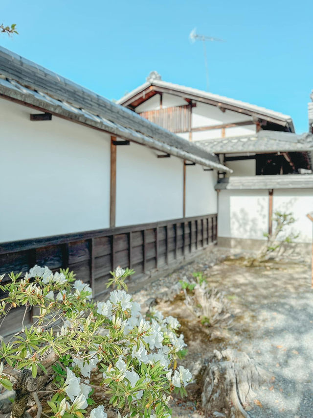 ⛩️✨ 1 วันในเมืองเกียวโต ⛩️✨ 1 วันในเมืองเกียวโต