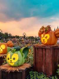! 🎃 ชุดฮาโลวีน - ฟักทอง  Seven Treasures ริมทะเล