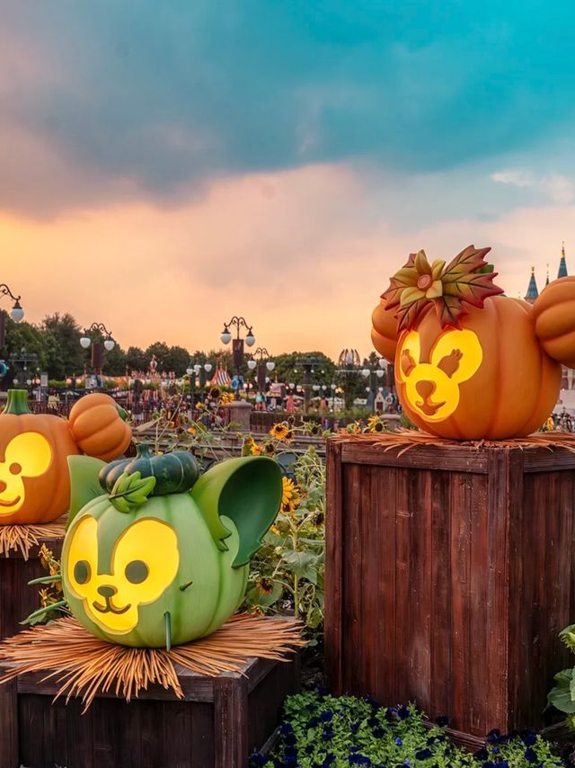 ! 🎃 ชุดฮาโลวีน - ฟักทอง  Seven Treasures ริมทะเล ! 🎃 ชุดฮาโลวีน - ฟักทอง  Seven Treasures ริมทะเล