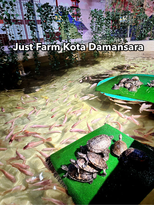Tranquil Encounters at Just Farm, Kota Damansara Tranquil Encounters at Just Farm, Kota Damansara