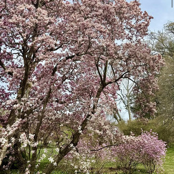 Winterthur Museum, Garden & Library