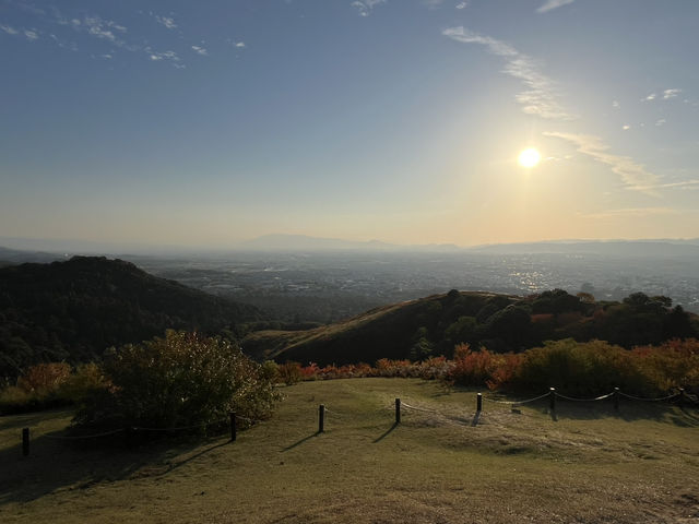 Golden Hills Nara🌅