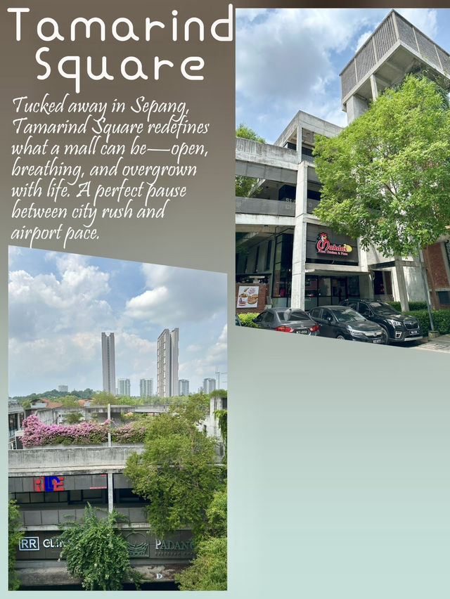 Modern Oasis Guide🌿 A Hidden Pulse Beyond the Runway: Tamarind Square, Sepang