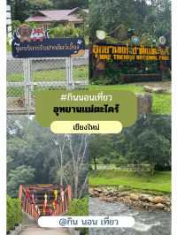 อุทยานแม่ตะไคร้ — สูดอากาศบริสุทธิ์พร้อมเพื่อนขนฟู