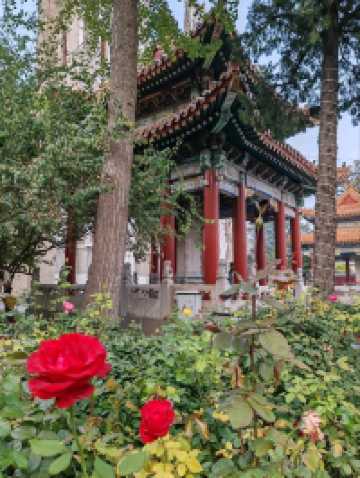 Church of The Saviour, Beijing (西什库教堂)