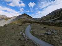 A Majestic Encounter with New Zealand’s Highest Peak