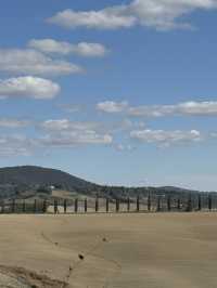 토스카나, 햇살과 언덕이 빚어낸 황금빛 풍경의 땅