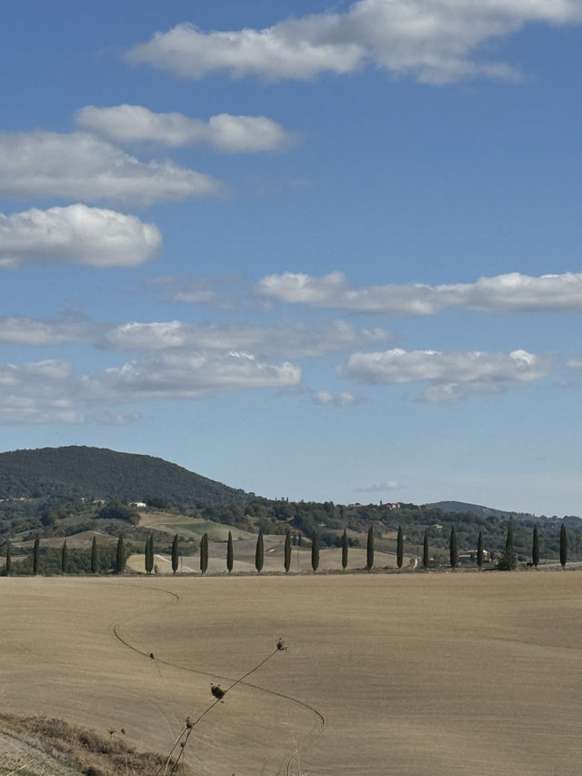 토스카나, 햇살과 언덕이 빚어낸 황금빛 풍경의 땅