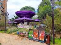 Chihu Coffee Culture Park