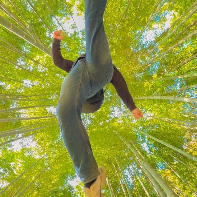 ์ ์ฃผ์๋ชฉ์์ด ์ด๋ ๊ฒ ์ด์๋ค๊ณ ? ์ ์ฃผ์๋ชฉ์์ด ์ด๋ ๊ฒ ์ด์๋ค๊ณ ?