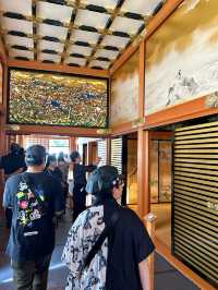 🇯🇵名古屋✈️江戶時代的輝煌與威嚴「名古屋城」