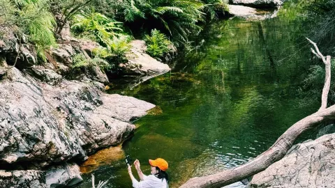 Hidden Gem of Nature : Rollasons Falls — traveler post in Bright