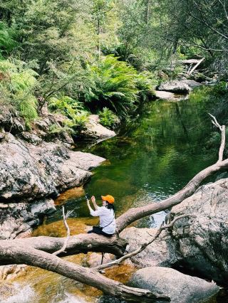 Hidden Gem of Nature : Rollasons Falls