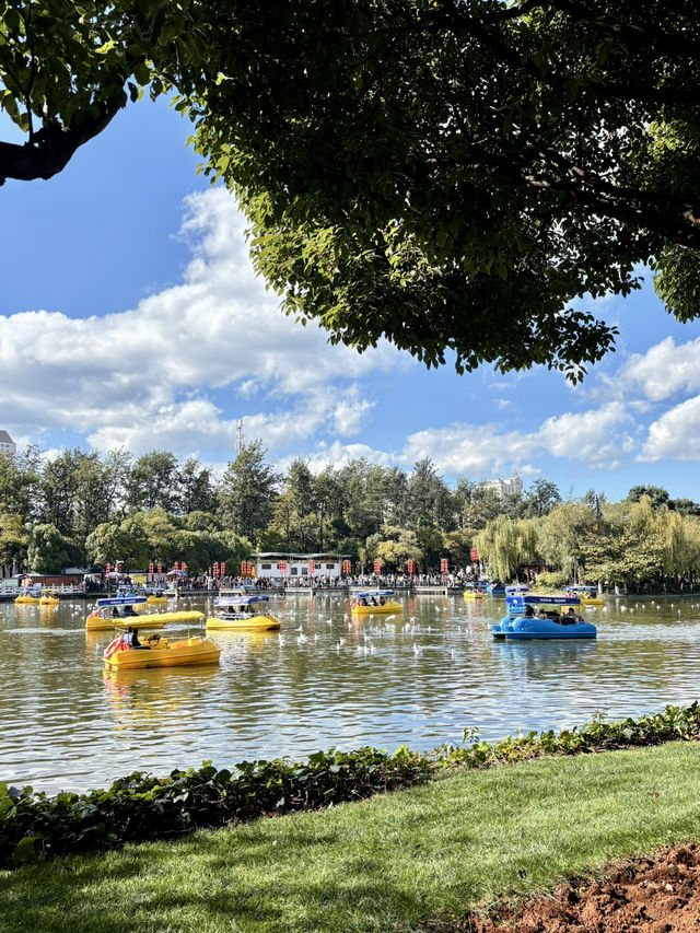 영원한 봄의 도시, 꽃이 지지않는 쿤밍