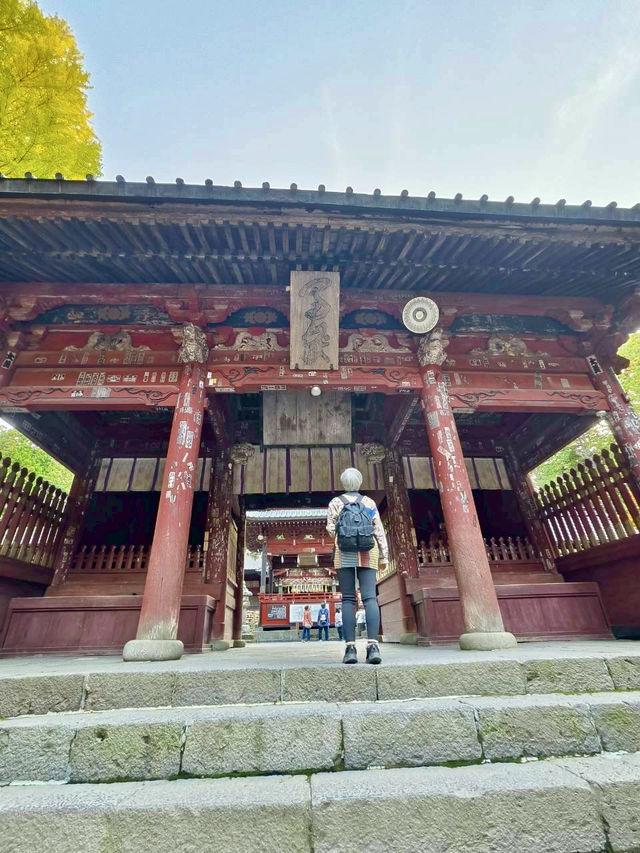 《巨杉守護的靜謐時光•北口本宮富士淺間神社》