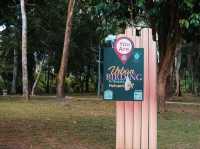 Urban Birding: Putrajaya’s Hidden Nature Hotspot 🕊️