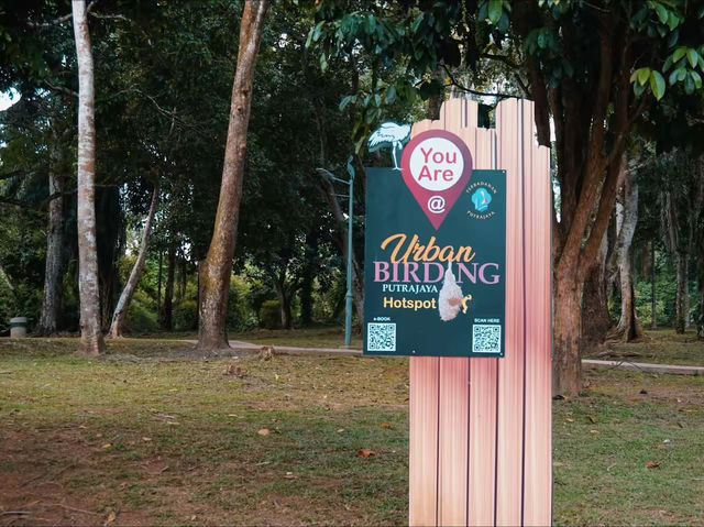 Urban Birding: Putrajaya’s Hidden Nature Hotspot 🕊️ Urban Birding: Putrajaya’s Hidden Nature Hotspot 🕊️