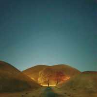 ๐๊ฒฝ์ฃผ์ ๋ฐค์ ๋น์ ์ ๋ฎ๋ณด๋ค ์๋ฆ๋ต๋ค