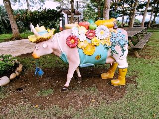 Teck Guan Cocoa Villageの魅力