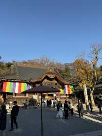 紅葉に包まれる癒しの古刹。深大寺で過ごす穏やかな時間