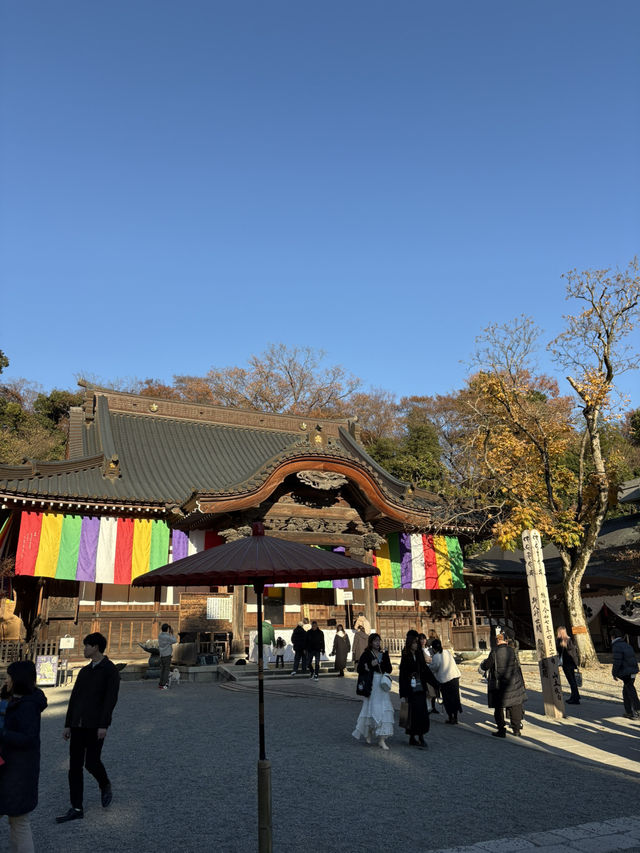 紅葉に包まれる癒しの古刹。深大寺で過ごす穏やかな時間 紅葉に包まれる癒しの古刹。深大寺で過ごす穏やかな時間