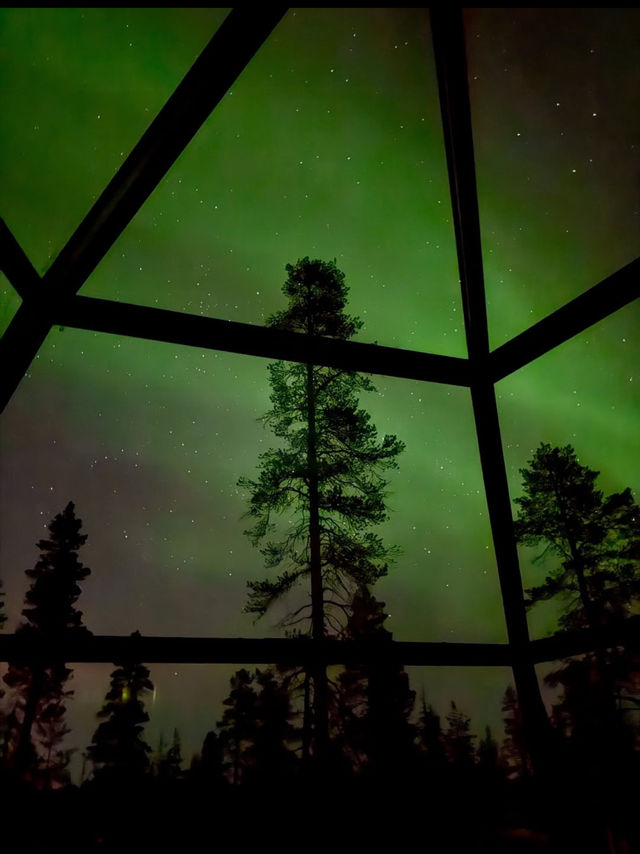 Stepping Into the Real-Life North Pole: Rovaniemi’s Christmas Magic ✨🎅❄️ Stepping Into the Real-Life North Pole: Rovaniemi’s Christmas Magic ✨🎅❄️