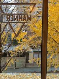 🍂 黃金城道步道｜銀杏滿開的季節 Manner有最佳窗景！