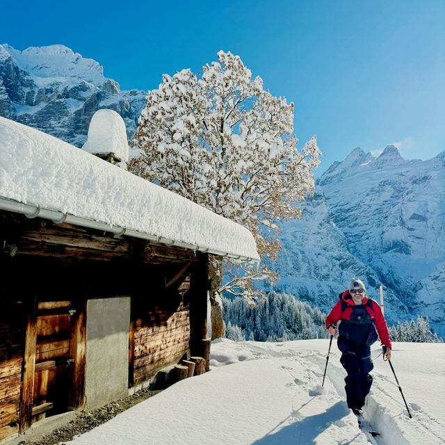 Ski Dreams Maidstone⛷️ Ski Dreams Maidstone⛷️