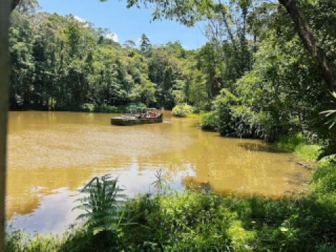 อุทยานธรรมชาติป่าฝน