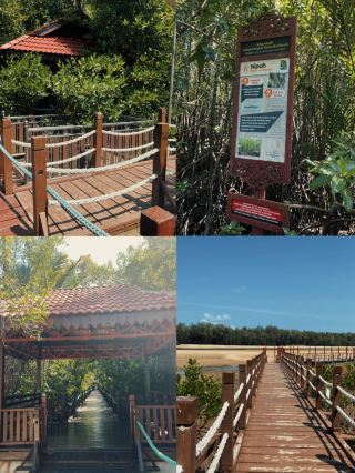 自然散策、静かなひととき、そして一生の思い出