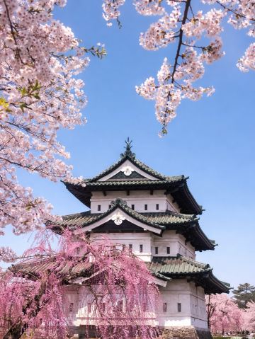 【サボ　行先板】（表）弘 前 FOR HIROSAKI（裏）青 森 FOR 四季によって景色の変わる弘前城 | Trip.com 弘前