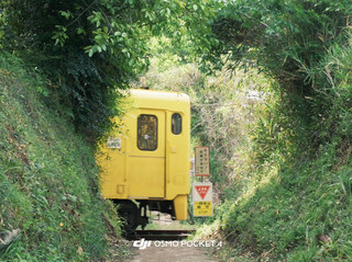 10 Stunning Hidden Gems in Kyushu That Don’t Feel Real ✨