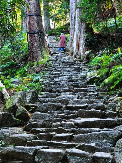 熊野古道 —— 時と森を抜ける聖なる道を歩く。 | Trip.com 田辺