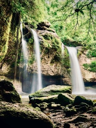  Japan Chubu Hakusan Shiramizu Falls Mossy Fir Forest Trail