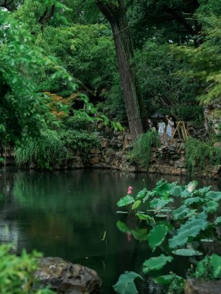 🌧️ Linger Garden Beneath Typhoon Dolphin | Suzhou in the Storm