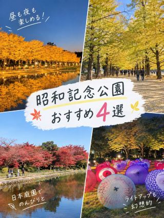 🇯🇵🍁【昭和記念公園】昼も夜も楽しめる♡秋の絶景イチョウ並木