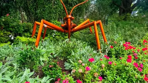🍁 Discover the Seasonal Charm of Franklin Park Conservatory 🌺 — traveler post in Columbus