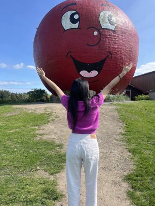 🇨🇦캐나다 ‘The Big Apple’🍎