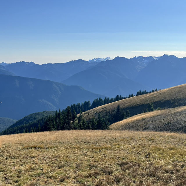 Olympic National Park in September 
