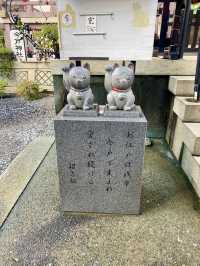 【東京都浅草🇯🇵今戸神社】縁結びの神様⛩️招き猫がお出迎え☺️