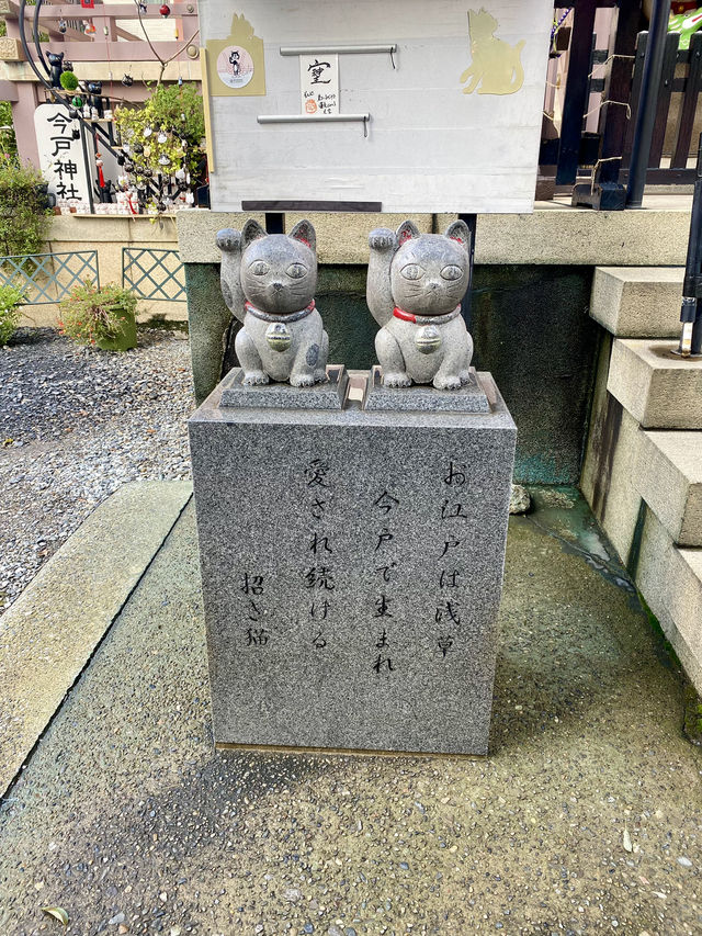 【東京都浅草🇯🇵今戸神社】縁結びの神様⛩️招き猫がお出迎え☺️