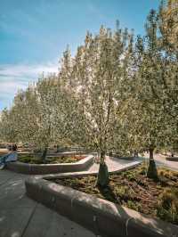 🌿 Prince’s Island Park – Calgary’s Peaceful Downtown Oasis